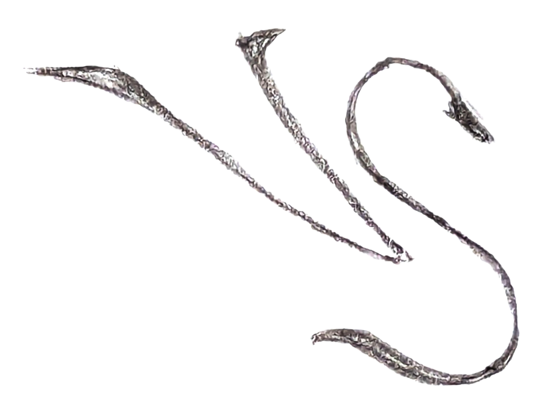 A photo of Valeria and Shailesh.